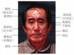 人衰老和皱纹的产生和脸联系