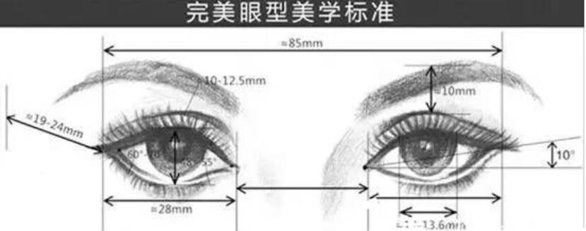 眼睛的美学标注