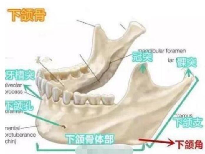 下颌角整形手术较为的没问题，用的是比较好的技术