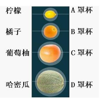 决定隆胸假体尺寸的因素除了胸廓和皮肤张力