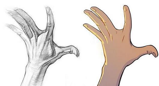 什么人能做手指屈曲矫正?手指屈曲畸形的特征：