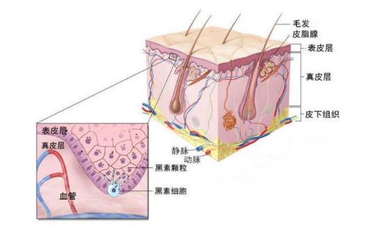 脸上青春痘留下的痘印怎么去掉?