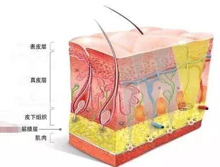 做完面部提升手术之后多久才可以洗脸？